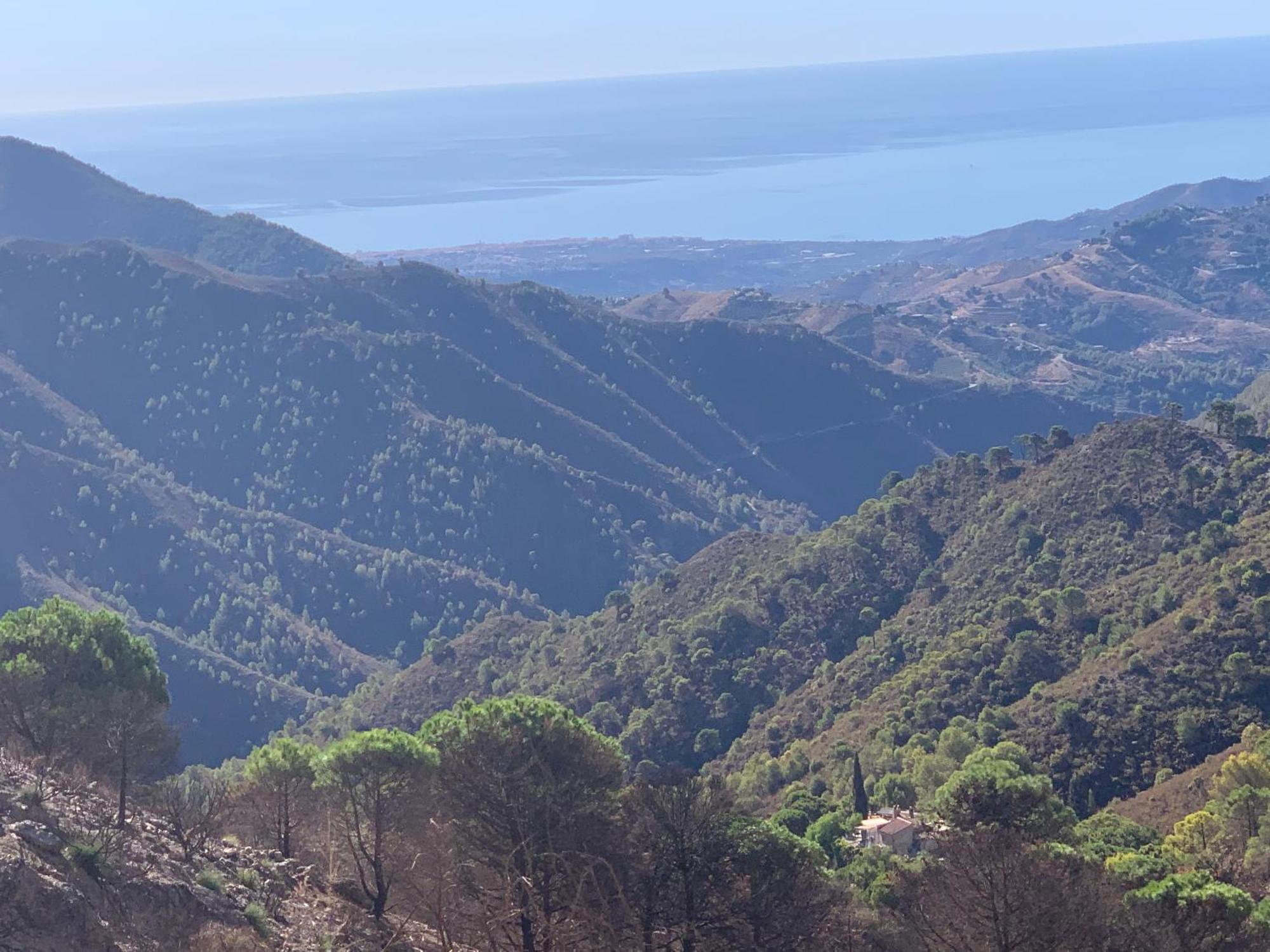 Finca El Almendro Μάλαγα Εξωτερικό φωτογραφία