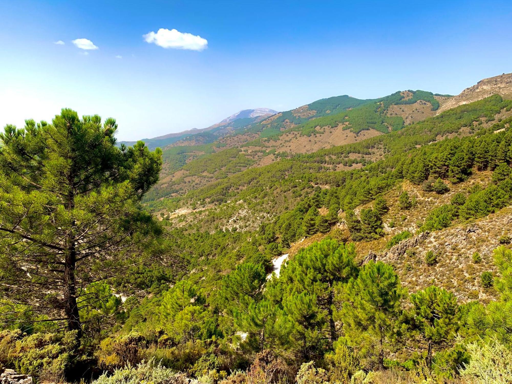 Finca El Almendro Μάλαγα Εξωτερικό φωτογραφία